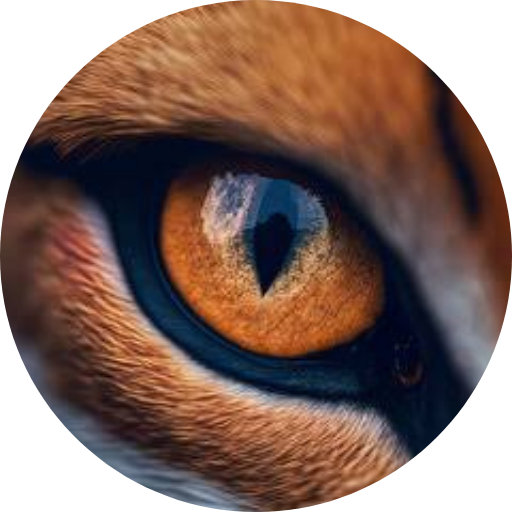 foxeyelogo